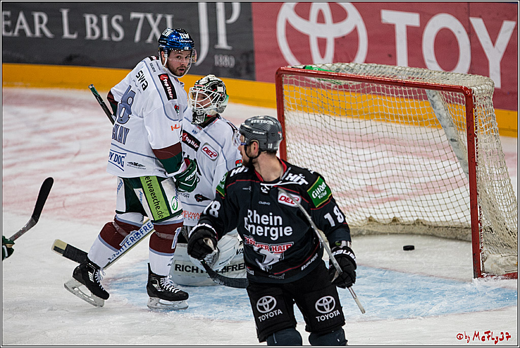 DEL, Koelner Haie - Augsburger Panther, 13.01.2017
